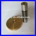 Stainless steel 304 worm shaft